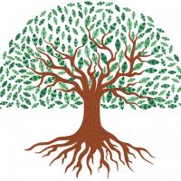 Psychogénéalogie_Marie Desprez _Dinard_Psychothérapeute_arbre généalogique_problème familiaux_divorce_problème relation amoureux_méditation_développement personnel_deuil Psychogénéalogie_Marie Desprez _Dinard_Psychothérapeute_arbre généalogique_problème familiaux_divorce_problème relation amoureux_méditation_développement personnel_deuil